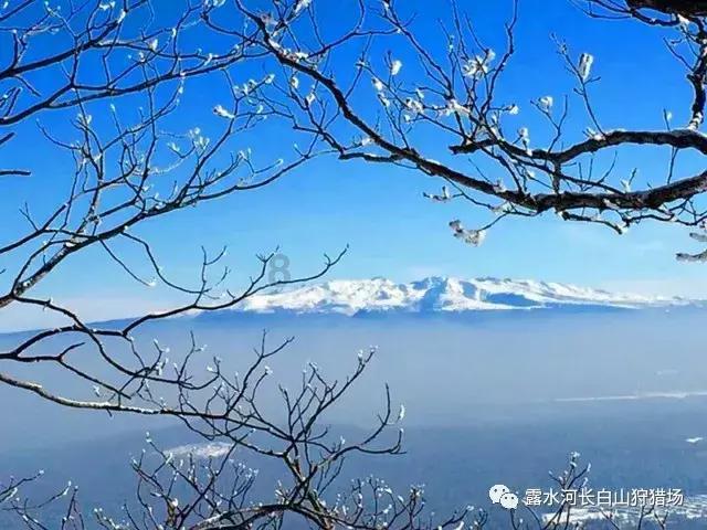 掘地挖宝